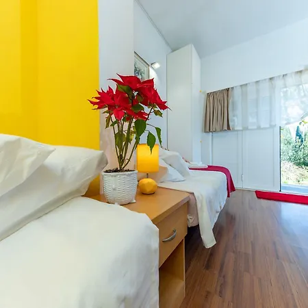 Apartament Area *